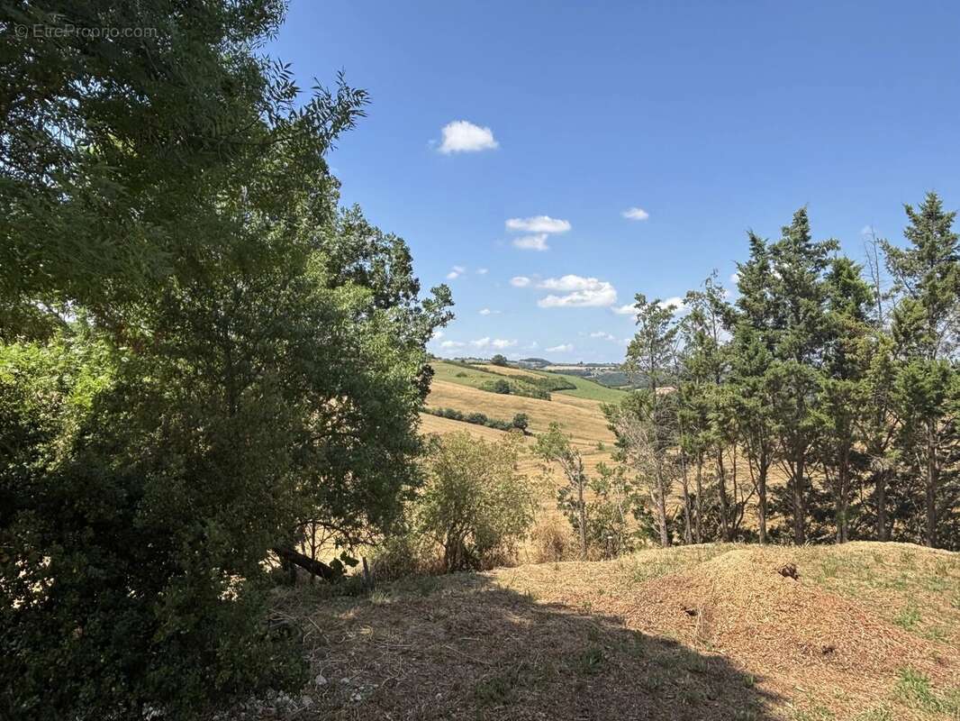 Charmante ferme de 150 m² à Saint-Ybars - photo 2