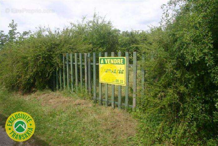 Terrain à SAINT-AIGNAN