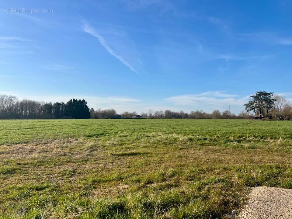 Terrain à SAINT-DENIS-LES-BOURG