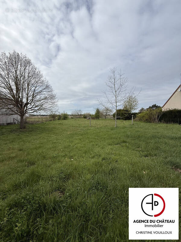 Terrain à SAINT-BENOIT-SUR-LOIRE