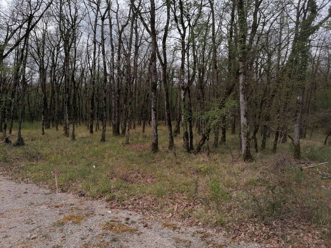 Terrain à LA ROUQUETTE