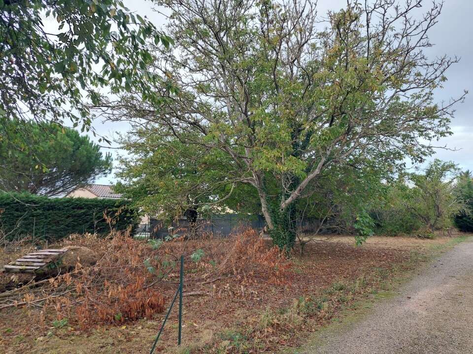 Terrain à BEAUPUY