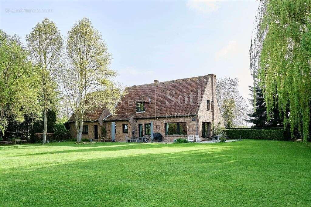 Maison à STEENWERCK