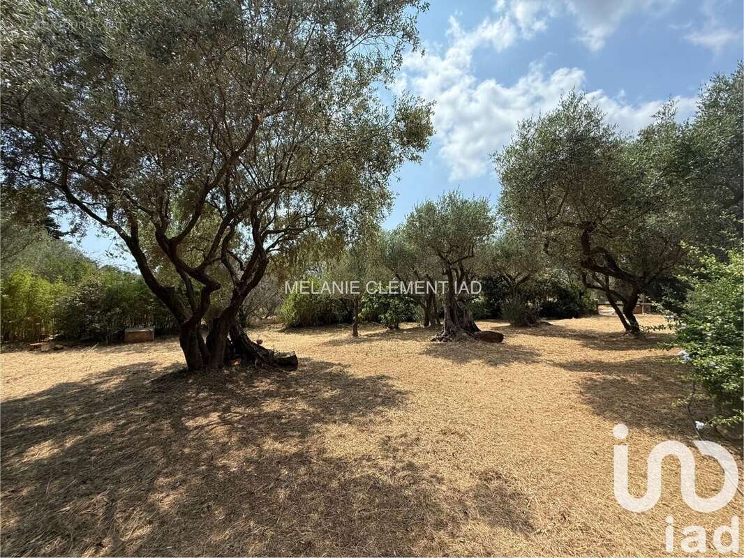 Photo 6 - Maison à SANARY-SUR-MER