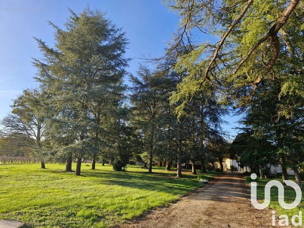 Photo 2 - Maison à SAINT-MAGNE-DE-CASTILLON