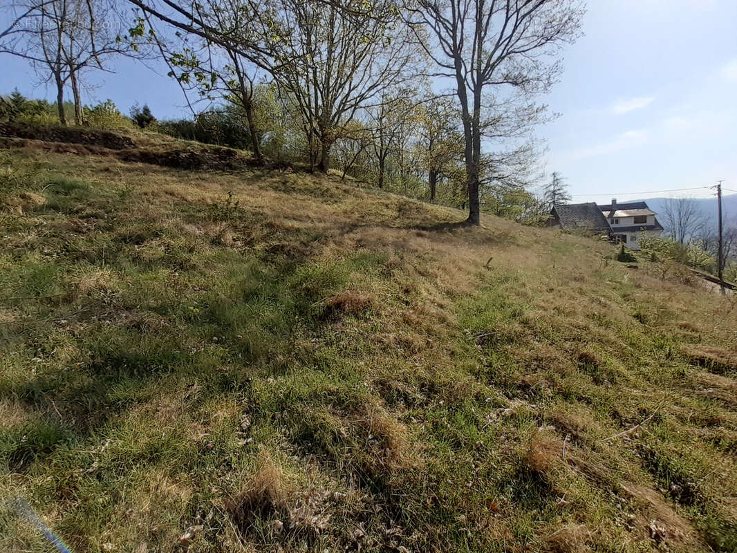Terrain à MUHLBACH-SUR-MUNSTER