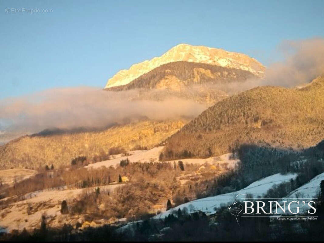 Terrain à POMMIERS-LA-PLACETTE