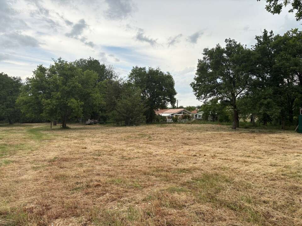 Terrain à FRONTON