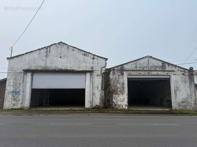 Commerce à PEYREHORADE