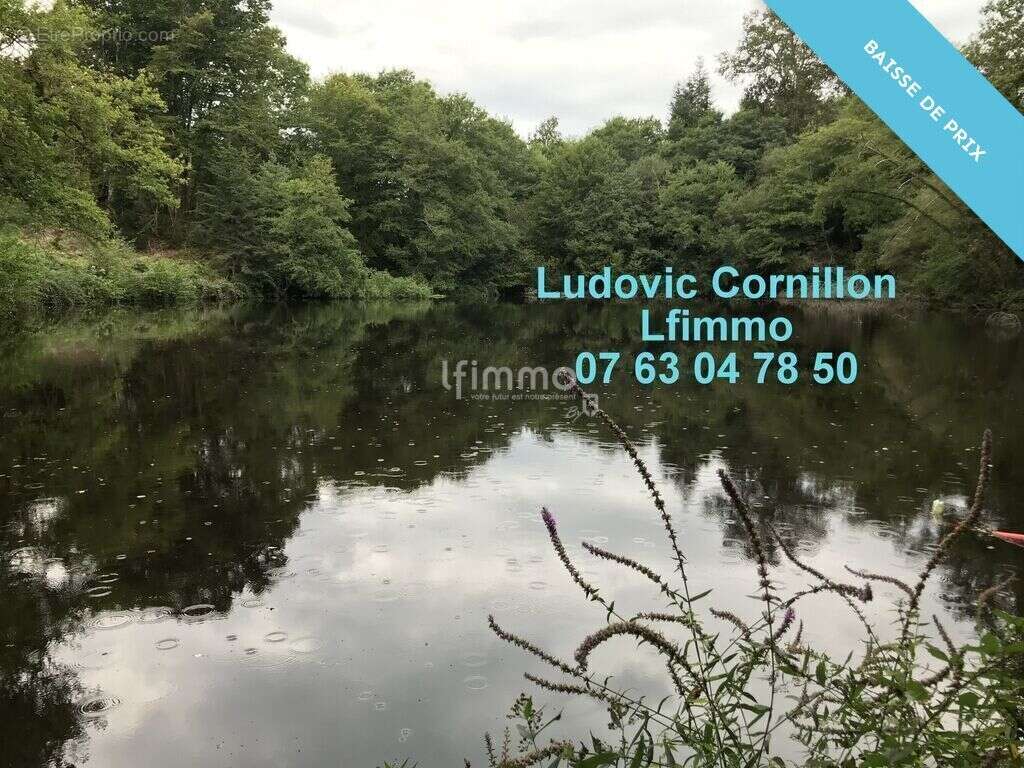 Propriété de charme 210m2, grange, 4ha, 2 étangs - photo 6
