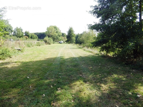 Terrain à VILLEREAU