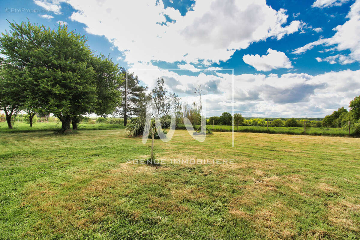 Maison à MOZE-SUR-LOUET