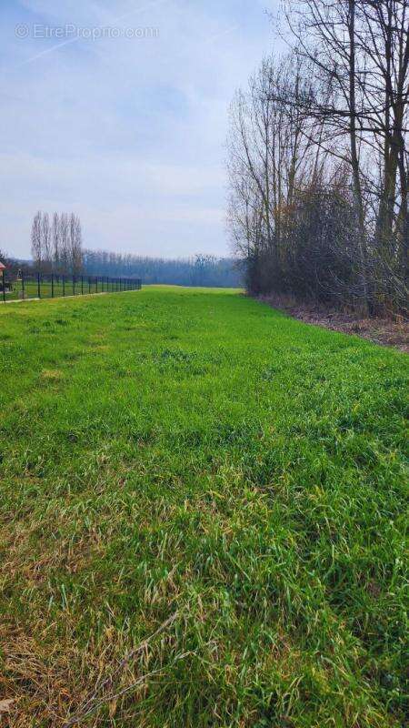 Terrain à SAINT-PAUL-AUX-BOIS