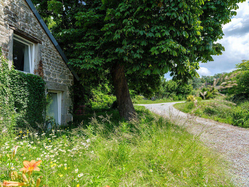 Commerce à SAINT-VAURY