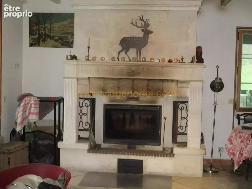 Réf. annonce : 10 020 - vente a terme libre - soubran (17) - photo 8