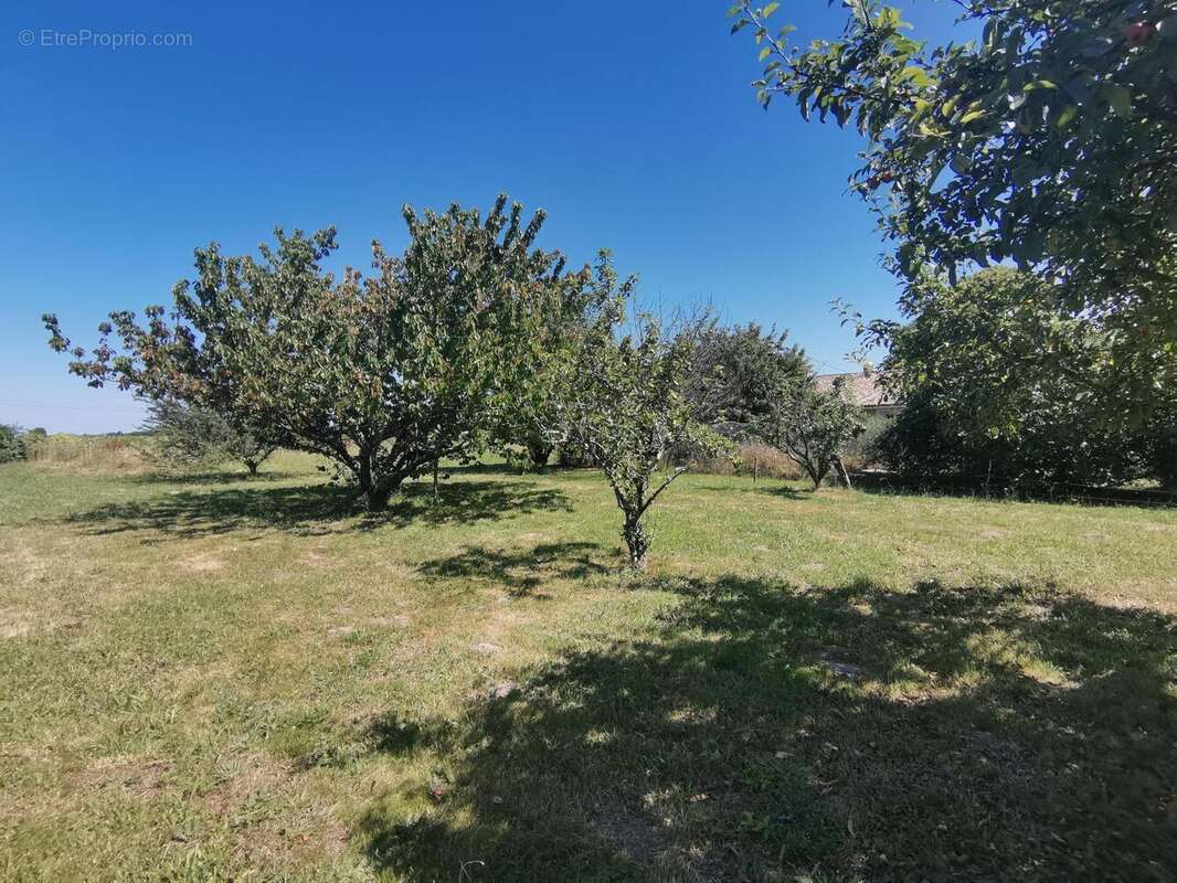 Photo 8 - Maison à REIGNAC