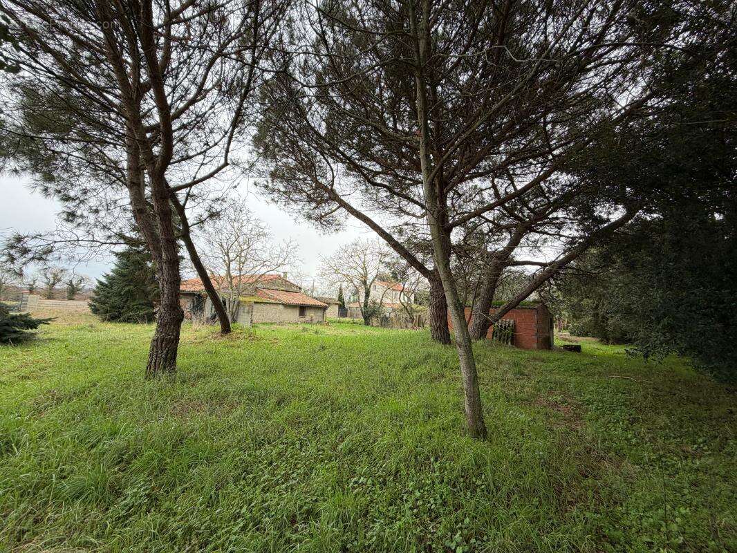 Maison à MURET