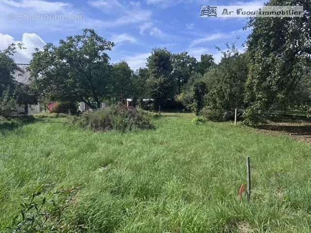 Terrain à HOPITAL-CAMFROUT