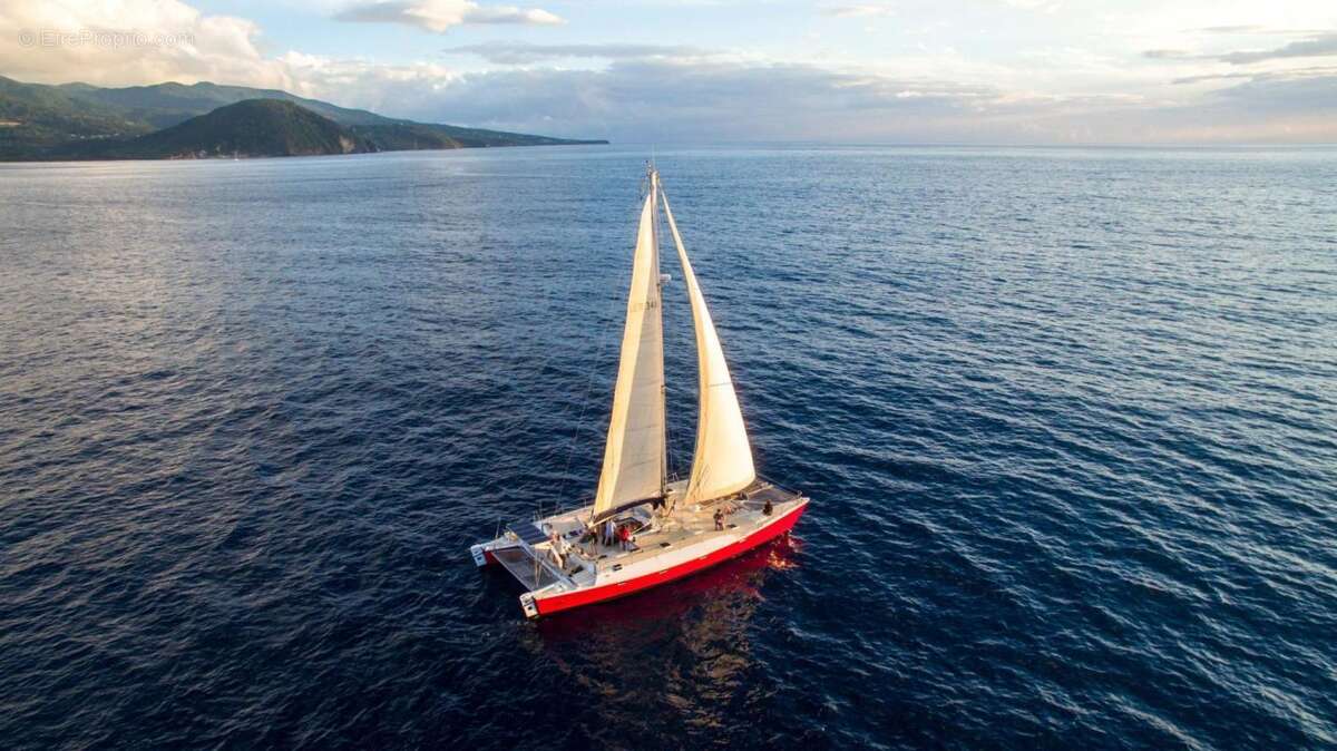 Commerce à DESHAIES