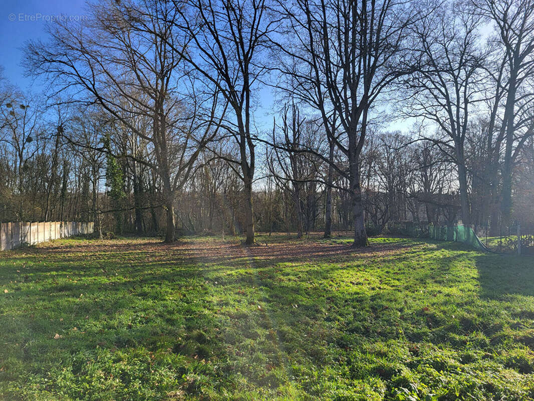 Terrain à SOIGNOLLES-EN-BRIE