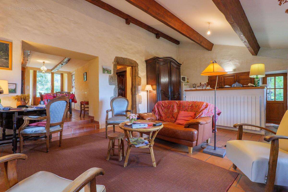 3 maisons + piscine+ terrain 4ha - photo 16