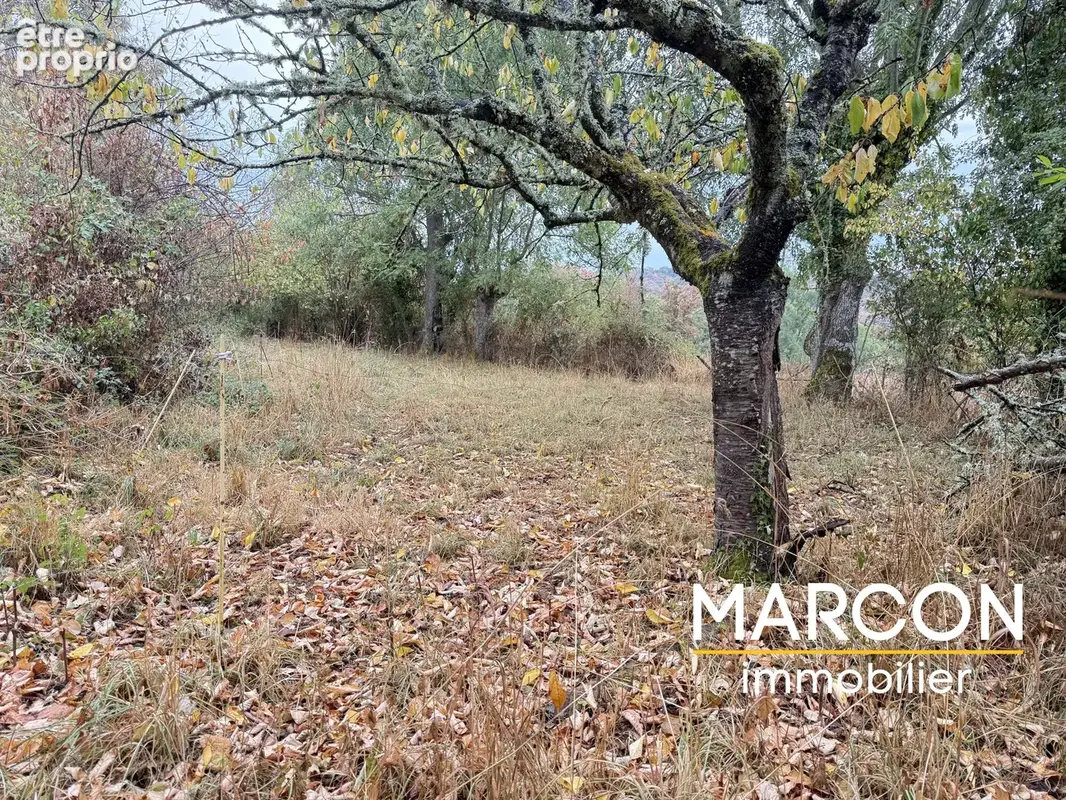 Secteur GLENIC - Maisonnette avec jardin - photo 11