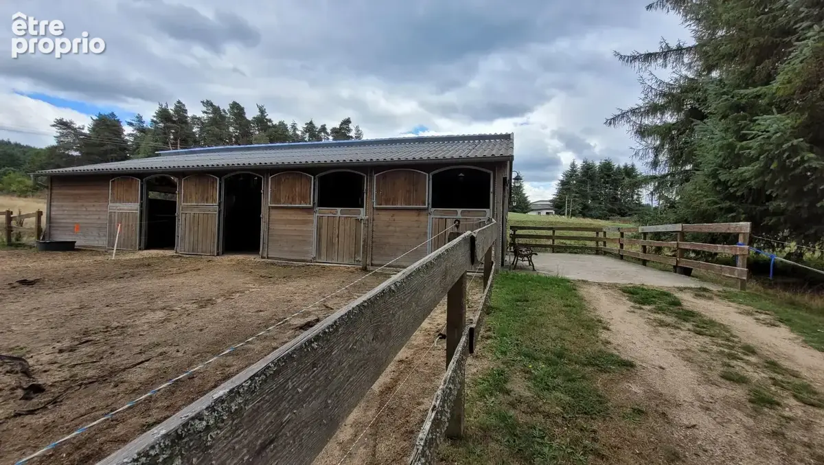 Maison de plain pied  6000m² de terrain - photo 13