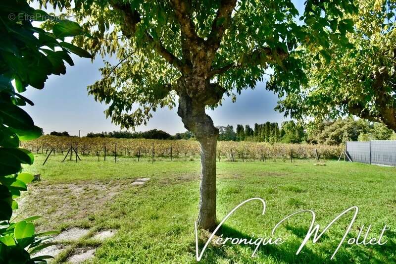 Maison à CARIGNAN-DE-BORDEAUX