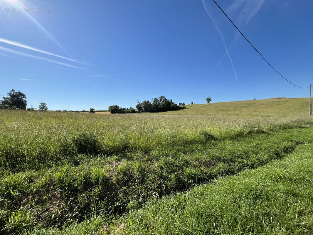 Terrain à PREIGNAN