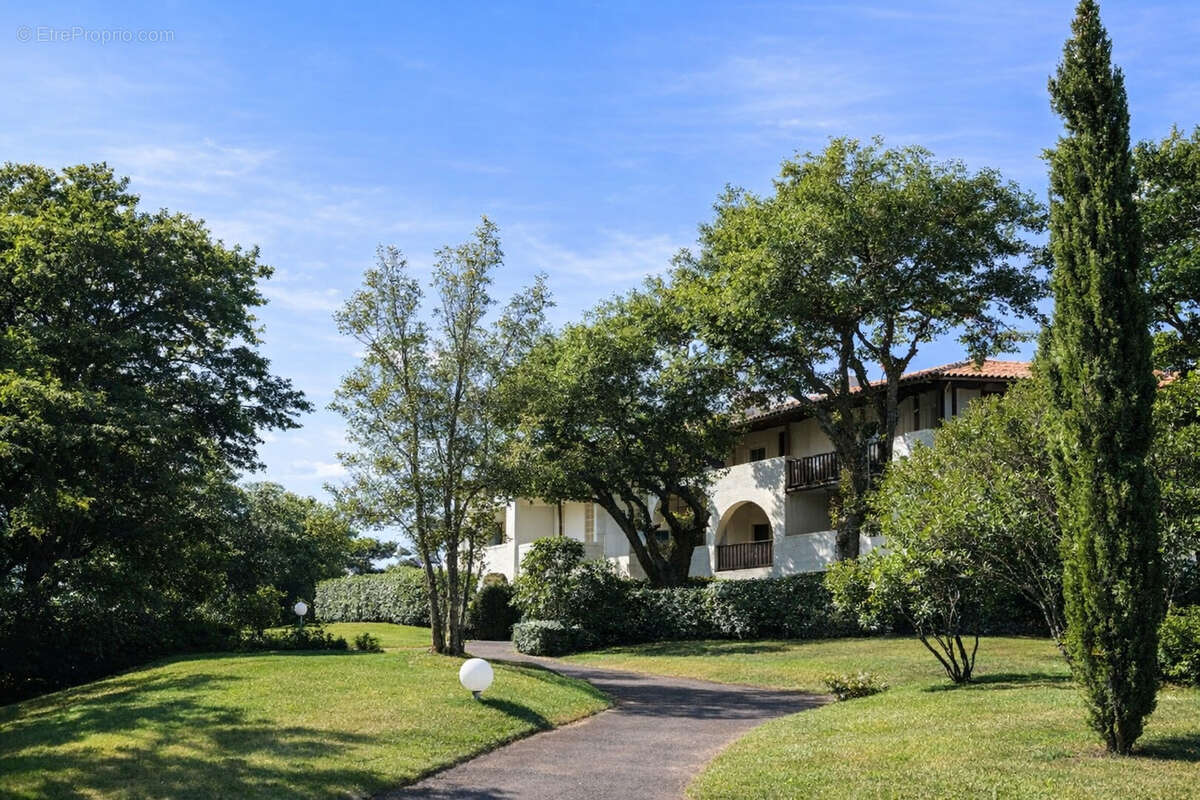 Appartement à CIBOURE