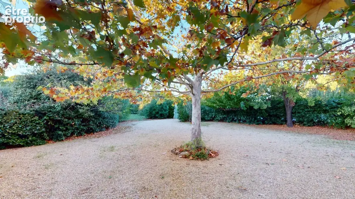 LE MUY: Demeure de prestige en pierre ? Une propriété de caractère au coeur de la Provence varoise - photo 6