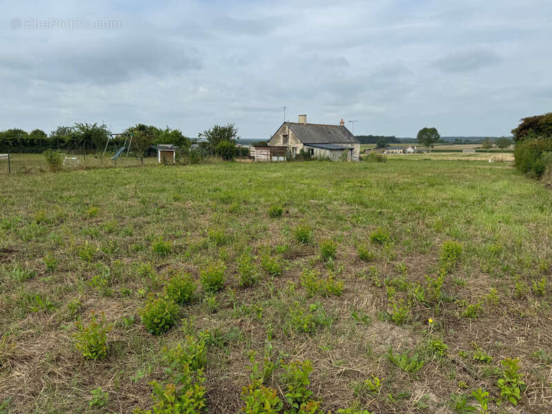 Terrain à JARZE