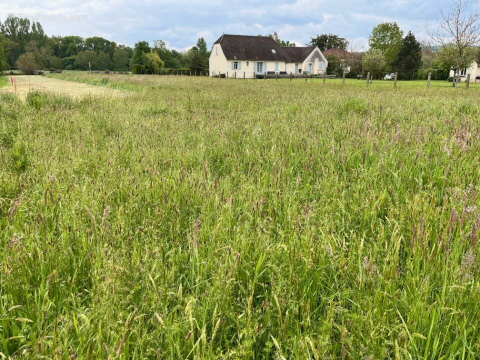 Terrain à PRUDHOMAT