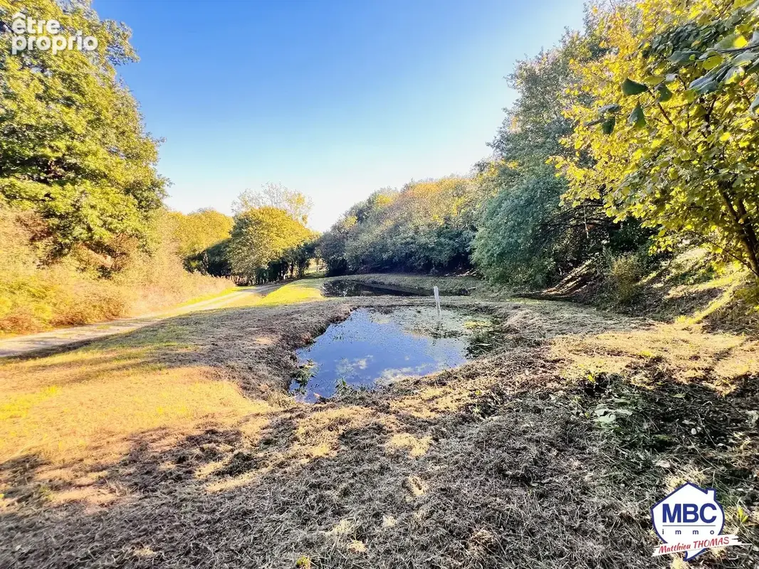 Propriété avec forêt, piscine et étang sur 1,48 hectare. - photo 12