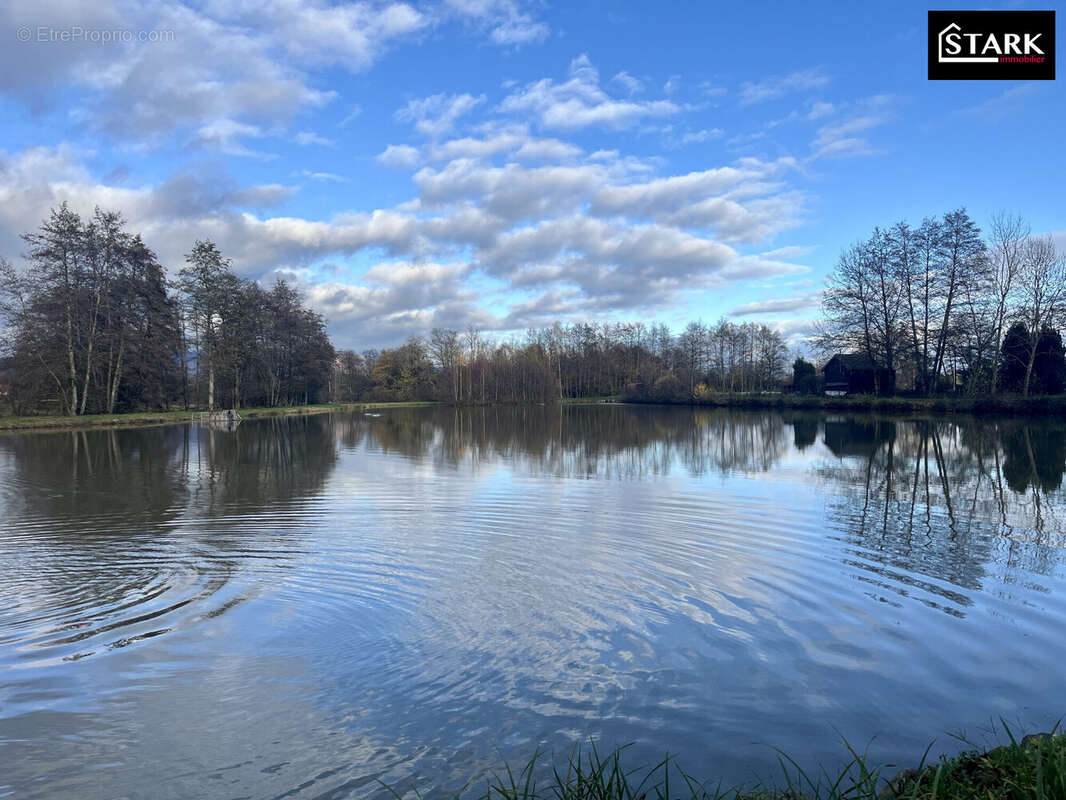 Terrain à EVETTE-SALBERT