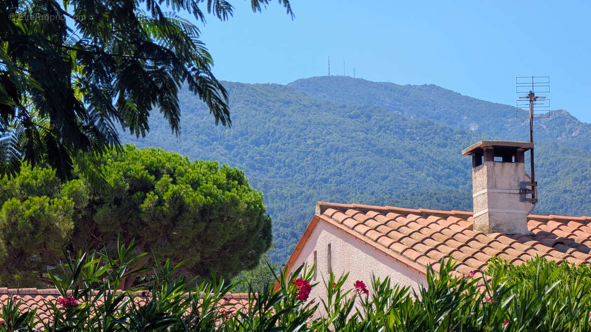 Maison à LAROQUE-DES-ALBERES