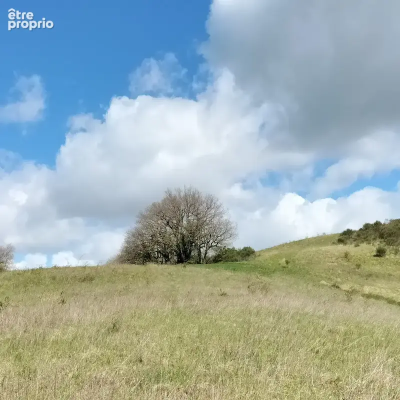 maison de campagne paradis au calme sur 4ha , 5 min de Simorre - photo 45