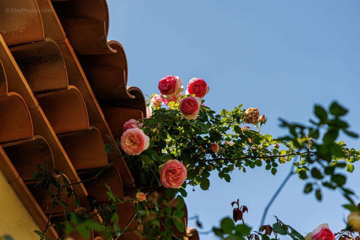 Maison à NICE