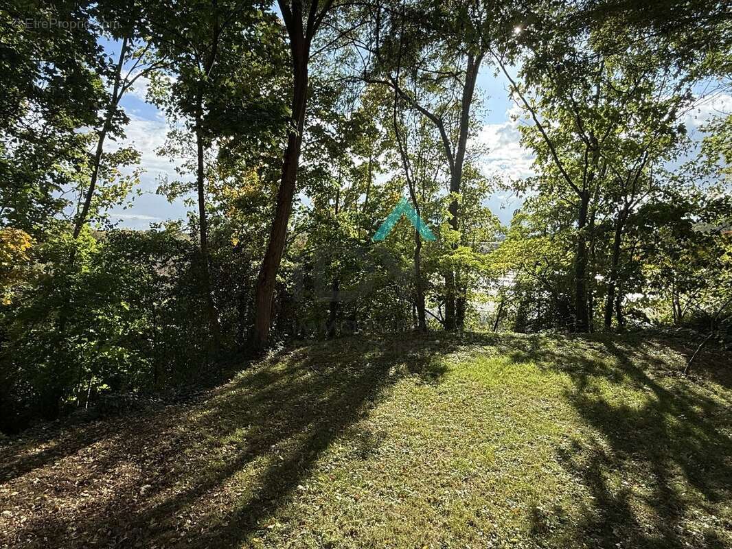 Maison à LE MESNIL-LE-ROI