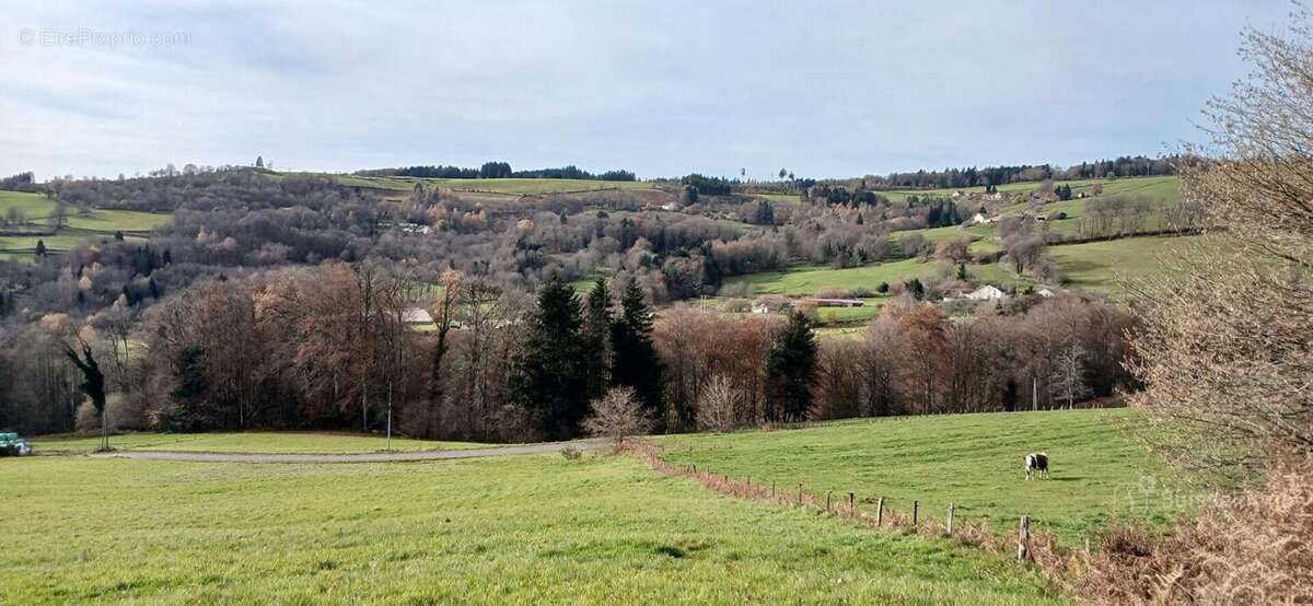 Maison à LA LONGINE