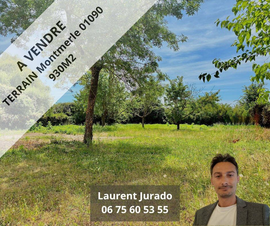 Terrain à MONTMERLE-SUR-SAONE