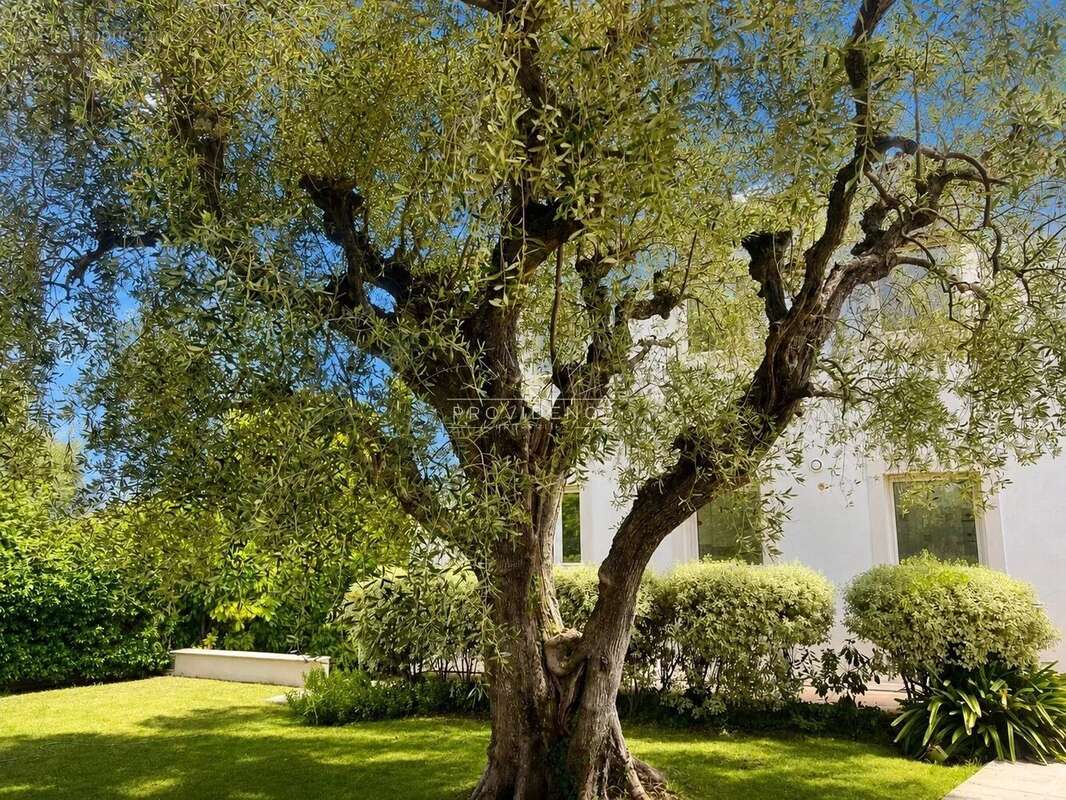 Le Cannet Europe - Villa 266 m², 5 chambres, piscine, jardin plat et vue mer - photo 21