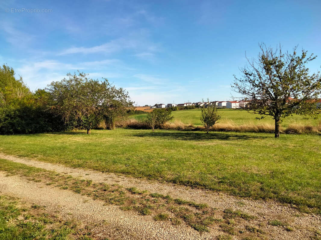 Maison à SAINTE-MARIE-AUX-CHENES