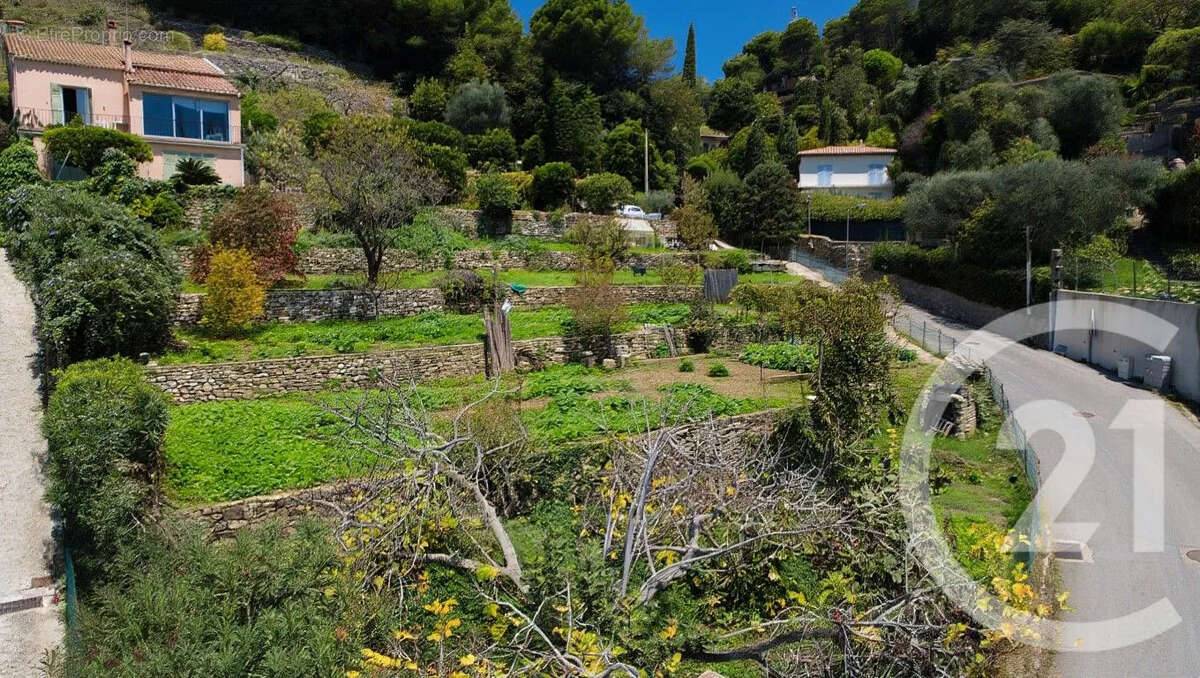 Terrain à VALLAURIS