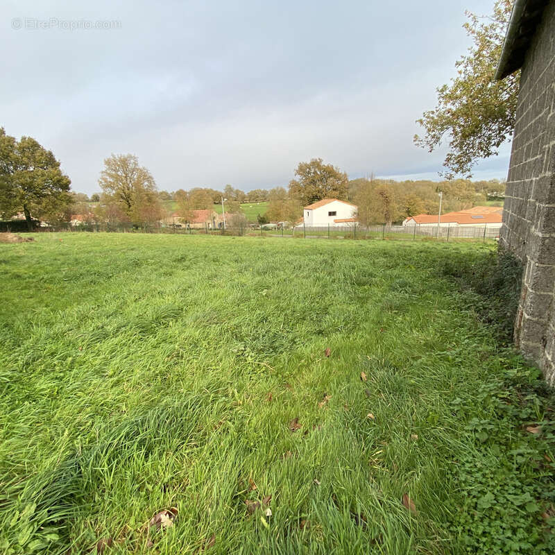 Terrain à MORTAGNE-SUR-SEVRE