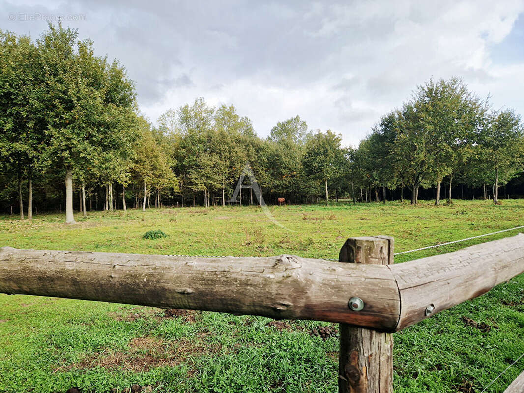 Maison à BEAUFORT-EN-VALLEE