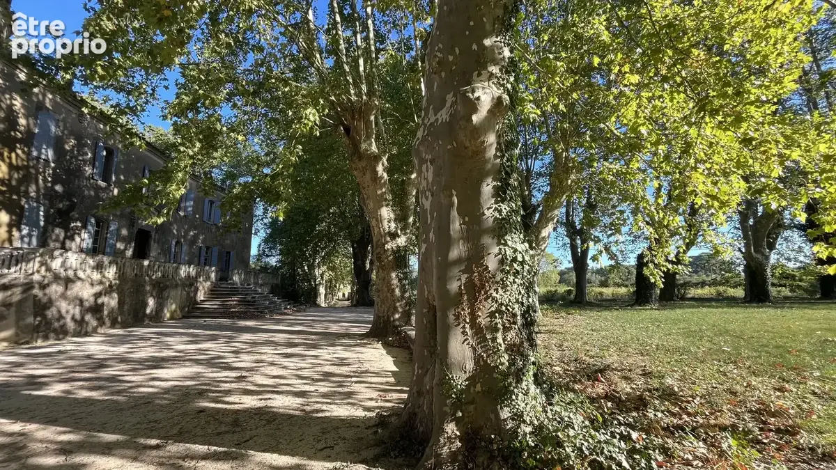 Authentique Château à rénover : Domaine d'exception sur 24 ha - photo 20