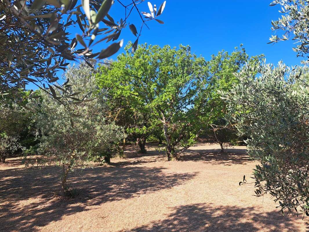 Photo 3 - Terrain à GORDES