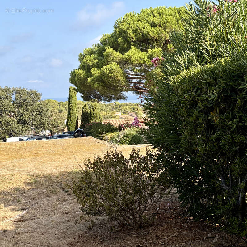 Exclusivité - Studio rez de jardin - cocody - photo 3