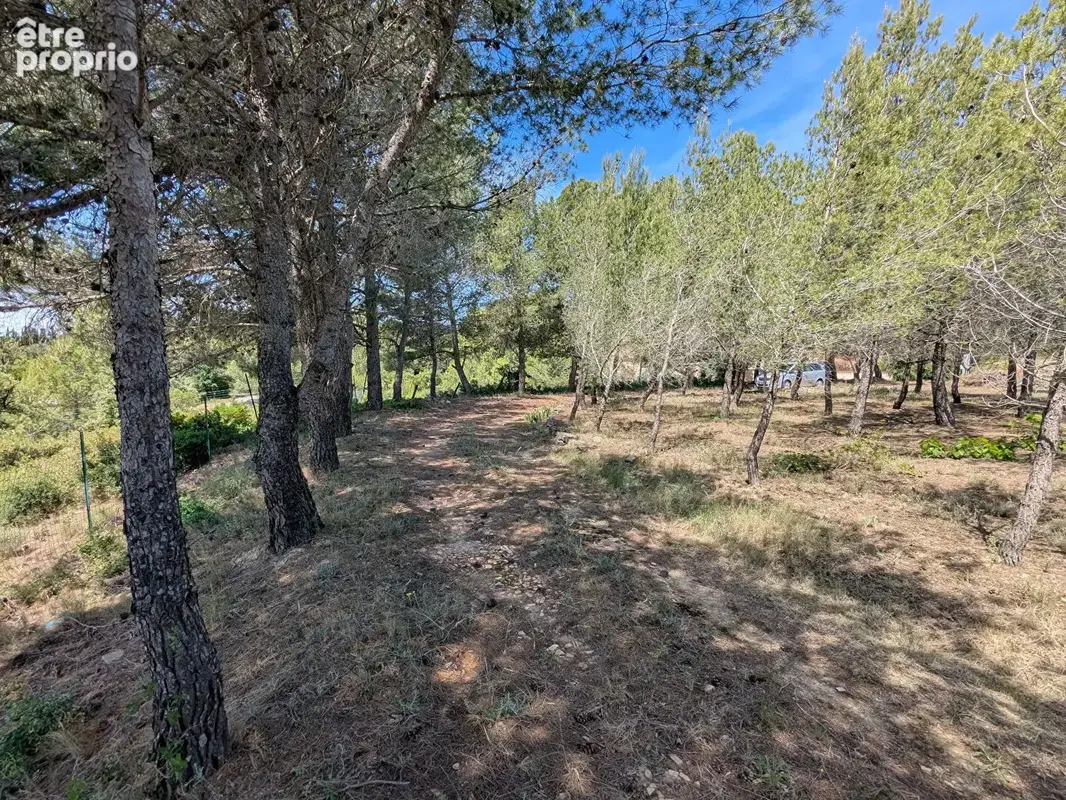 Mas Siran 2 pièces 48 m² - photo 15